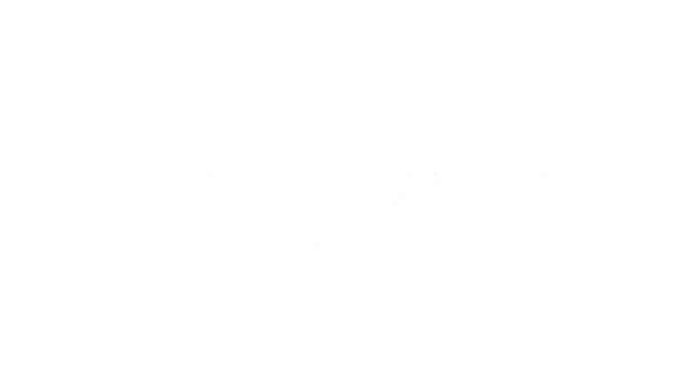 Streaming channel partner network 14